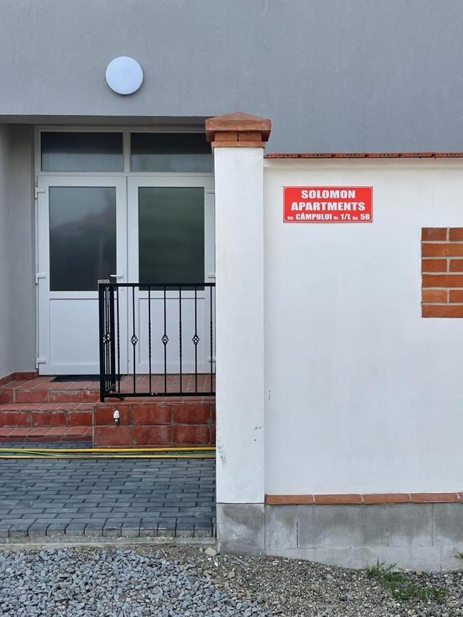 Solomon Apartments Ap 2 Sangeorgiu de Mures Bagian luar foto